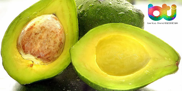 Manfaat Yang Bisa Didapatkan Dari Alpukat Untuk Otak