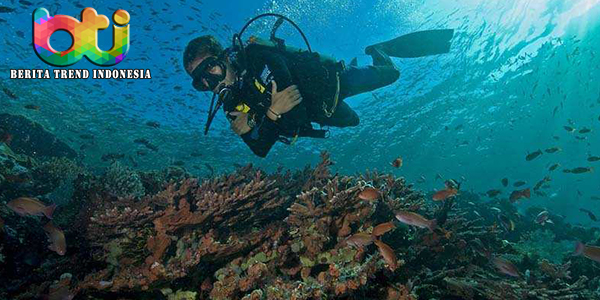 Beberapa Tempat Di Raja Ampat Untuk Belajar Menyelam