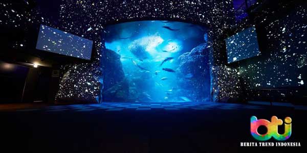 Dunia Fantasi Hamparan Bintang Siap Memanjakan Mata Anda