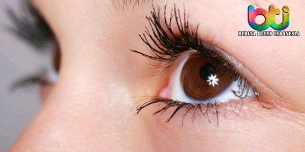 Mengetahui Manfaat Dari Krim Mata