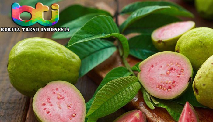 Ini Vitamin dalam Jambu Biji yang Berguna untuk Tingkatkan Imun