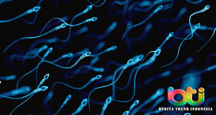 Pria yang Donasikan Spermanya dan Jadi Ayah dari 23 Anak dalam Setahun sedang Diselidiki